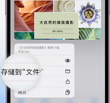 中和镇apple维修中心分享iPhone文件应用中存储和找到下载文件