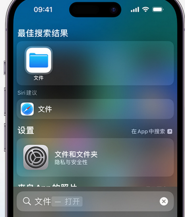 中和镇apple维修中心分享iPhone文件应用中存储和找到下载文件 