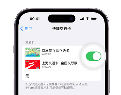 中和镇apple维修点分享iPhone上更换Apple Pay快捷交通卡手绘卡面 