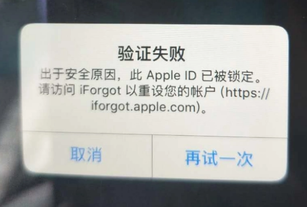 中和镇iPhone维修分享iPhone上正常登录或使用AppleID怎么办 