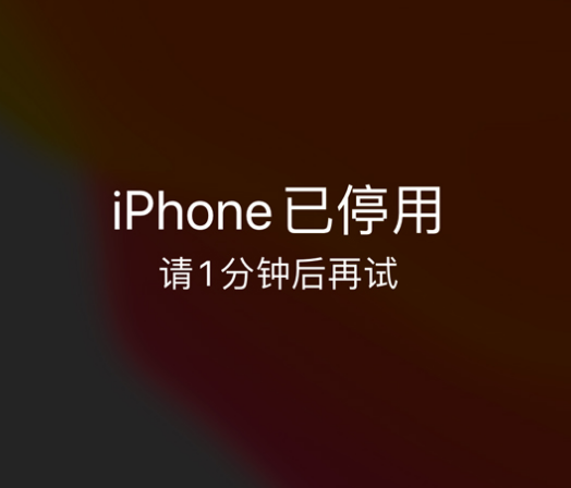 中和镇苹果手机维修分享:iPhone 显示“不可用”或“已停用”怎么办？还能保留数据吗？ 