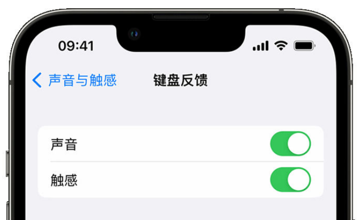 中和镇苹果手机维修分享iPhone 14触感键盘使用方法 