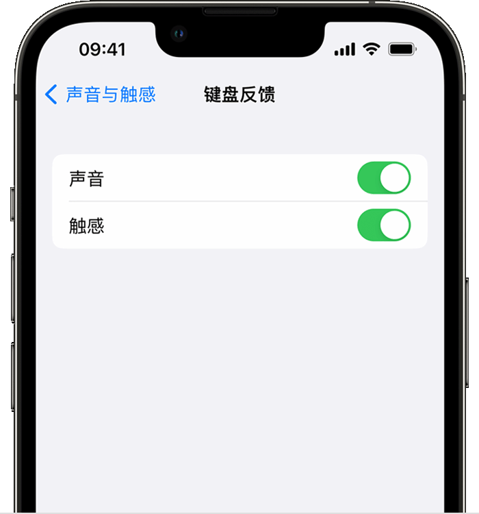 中和镇苹果14维修店分享如何在 iPhone 14 机型中使用触感键盘 