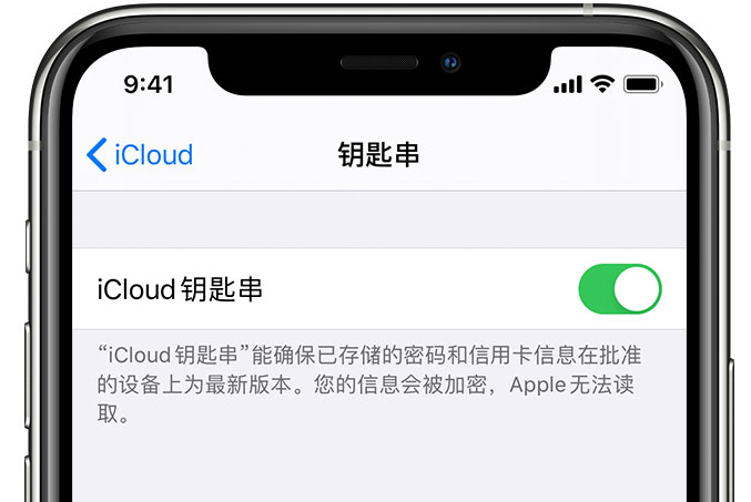 中和镇苹果手机维修分享在 iPhone 上开启 iCloud 钥匙串之后会储存哪些信息 