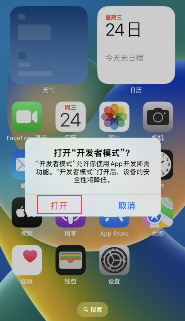 中和镇苹果手机维修分享如何打开开发者模式 