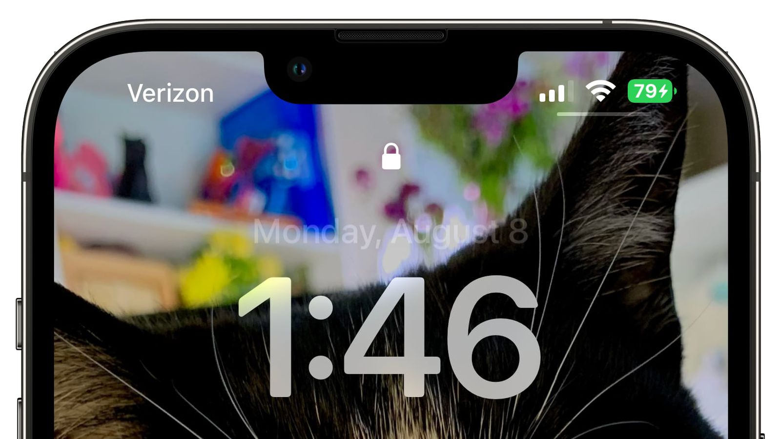 中和镇苹果手机维修分享iOS 16 beta 5 支持状态栏显示电池百分比，如何开启？支持哪些机型 