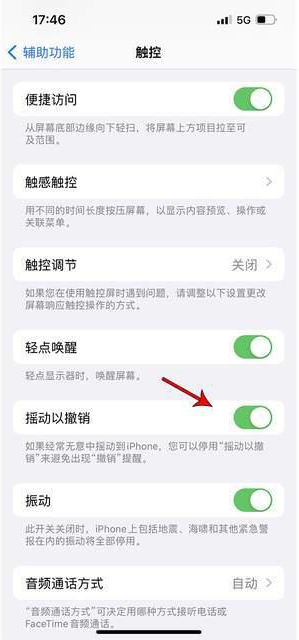 中和镇苹果手机维修分享iPhone手机如何设置摇一摇删除文字 