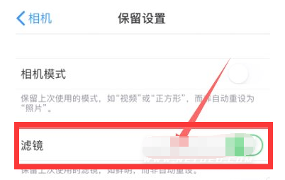 中和镇苹果13维修分享iPhone13拍照有绿点是怎么回事 
