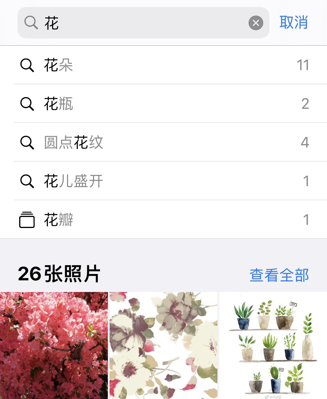 中和镇苹果手机维修分享iPhone 小技巧 