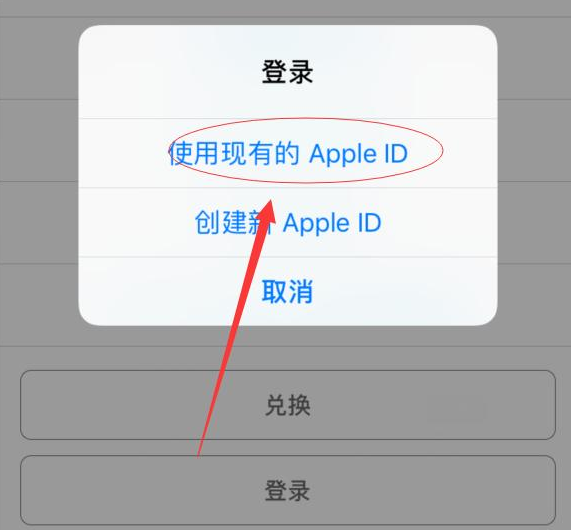 中和镇苹果手机维修分享两台iPhone设备可以同时登录一个Apple ID吗 